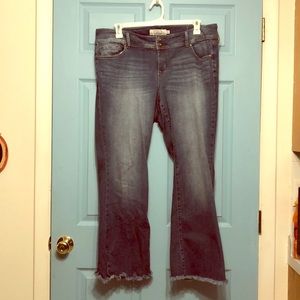 Torrid jeans